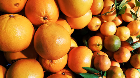 A lot of fresh yellow mandarin with green leaves in the market, fruits background. Art image with green leaves. Healthy eating concept. Can be used as a place for your textの写真素材
