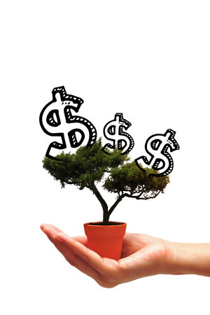 Business woman holding idea money tree in small pot on white background.Photo design for smart business, business idea and Financial growth concept.の写真素材