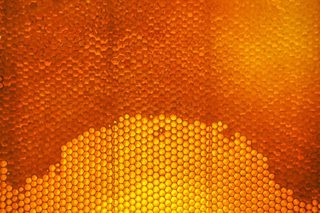 Drop of bee honey drip from hexagonal honeycombs filled with golden nectar, honeycombs summer composition consisting of drop natural honey, drip on wax frame bee, drop of bee honey drip in honeycombsの写真素材