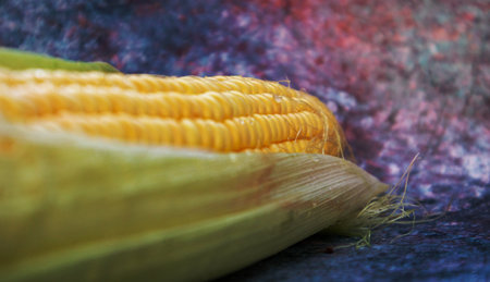 Lying head of sweet corn. One ear of corn with leaves. Raw corn head close-up on the table. Natural colorの写真素材