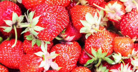 Strawberry background. Food fruit background. Fresh organic berries macro. Summer freshly picked red berries. Bunch of tasty red strawberries. Copy space, flat lay, top viewの写真素材