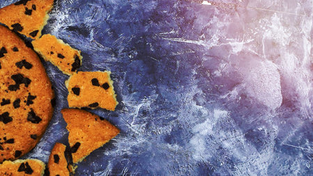 One soft freshly baked chocolate chip cookie with crumbs and chunks on a gray marble kitchen countertop. American traditional pastry, dessert. Delicious sweet food. Flat lay. Copy space.の写真素材