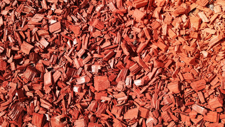Sawdust for the garden. Texture of tree bark lying on the ground. Background from a tree bark. Decorative bark, mulch, mulching. Decorative wood chips. Natural pine red mulch.の写真素材