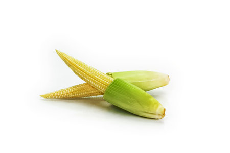 baby corn isolated on white backgroundの写真素材