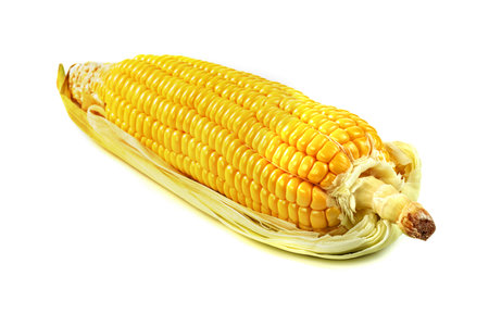 corn isolated on white backgroundの写真素材