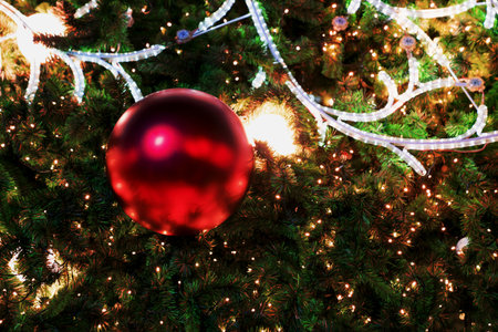 Closeup christmas tree and red ball hangingの写真素材