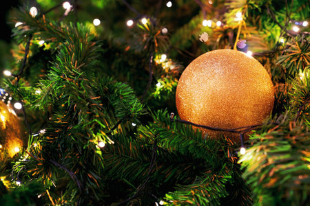 Closeup christmas tree and gold ball hangingの写真素材