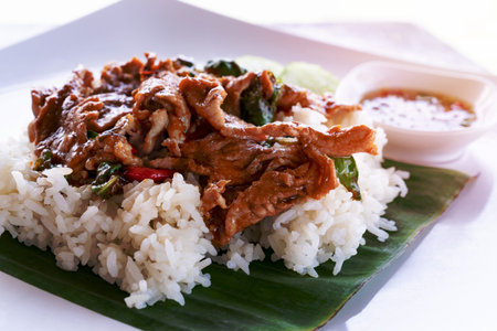Fried Pork with Garlic Pepper on Rice wtih white dishの写真素材