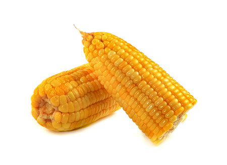 corn isolated on white backgroundの写真素材