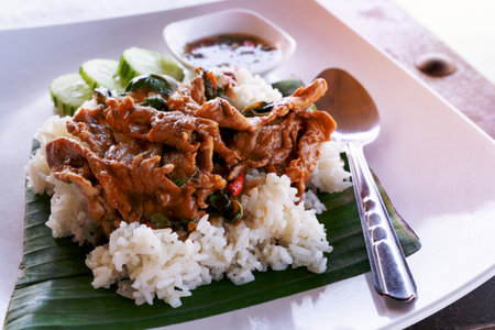 Fried Pork with Garlic Pepper on Rice wtih white dishの写真素材