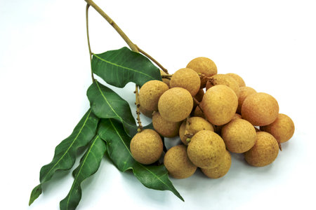 Dimocarpus, longan on backgroundの写真素材
