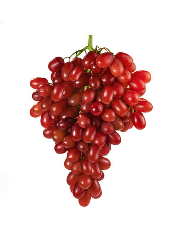 Closeup red seedless grapes isolated on white backgroundの写真素材