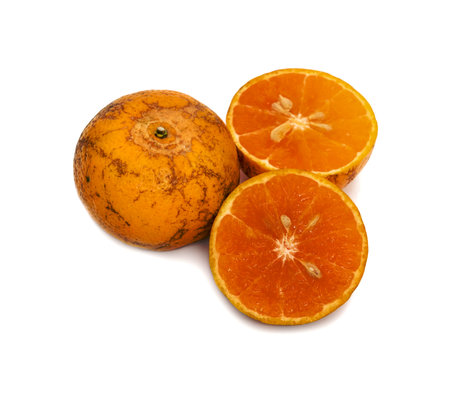 half of orange isolated on the white background,Thai fruitの写真素材