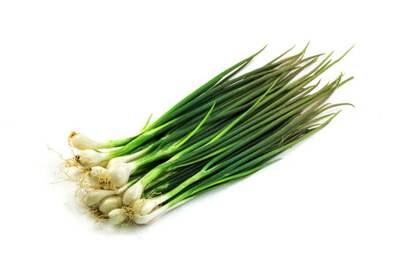 leaf spring onion isolated on white background ,Green leaves patternの写真素材