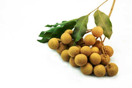 Dimocarpus, longan on backgroundの写真素材