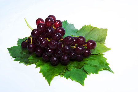 red grapes and leaves with water dropsの写真素材