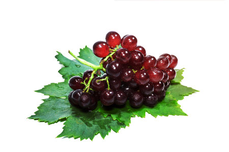 red grapes and leaves with water drops,isolated on white backgroundの写真素材