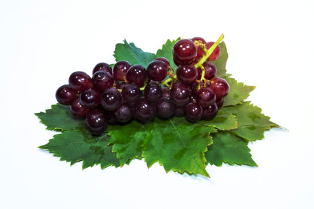 red grapes and leaves with backgroundの写真素材