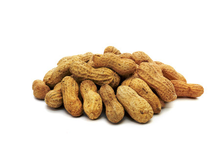 group dried peanuts isolated on white background