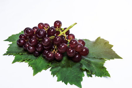 red grapes and leaves with backgroundの写真素材
