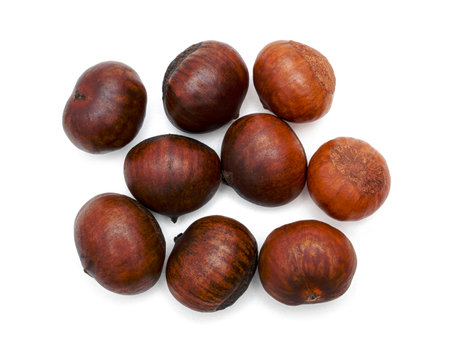 roasted chestnut isolated on white backgroundの写真素材