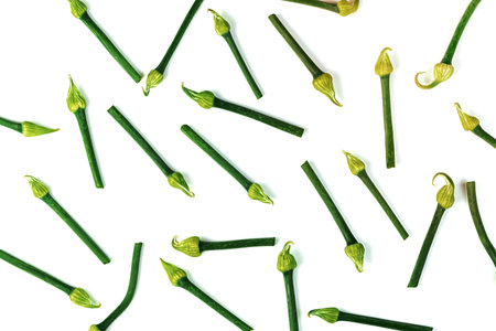 Scallion Flower or Allium cepa or Onion Flower Stem isolated on white backgroundの写真素材