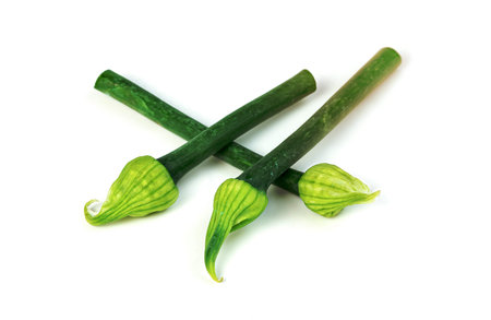 Scallion Flower or Allium cepa or Onion Flower Stem isolated on white backgroundの写真素材