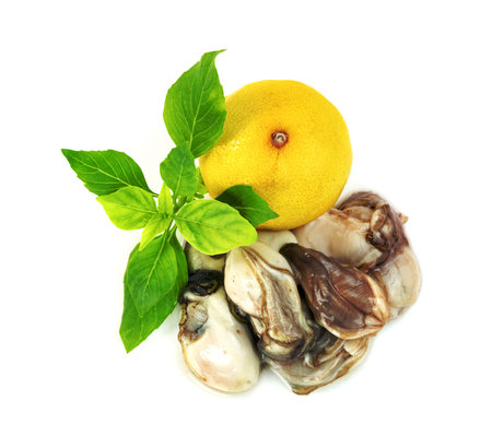 Oysters with lemon and  leaf basil isolated on a white backgroundの写真素材