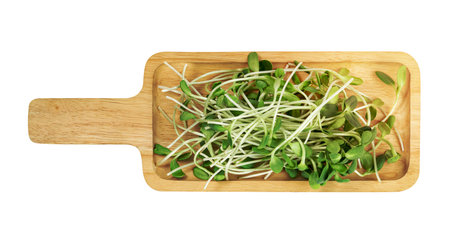 fresh Sunflower Sprout with wooden tray isolated on white background ,Green leaves pattern ,Salad ingredient ,include clipping pathの写真素材