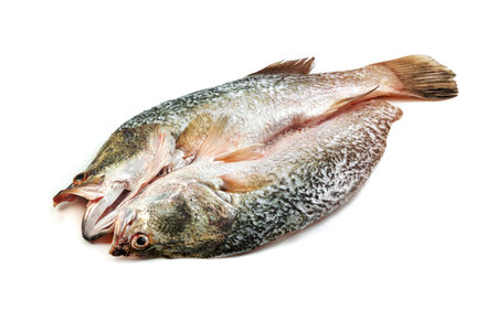 barramundi or seabass fish isolated on white backgroundの写真素材