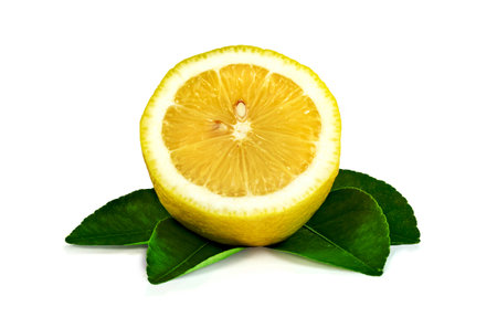 Lemon with leaf isolated on white backgroundの写真素材