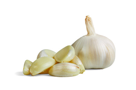 garlic isolated on white background ,include clipping pathの写真素材