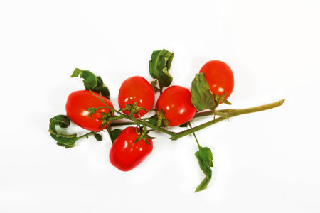 Fresh tomato on a white backgroundの写真素材