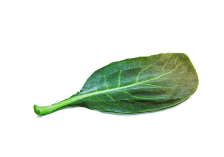leaves of collards on background,Chinese kaleの写真素材
