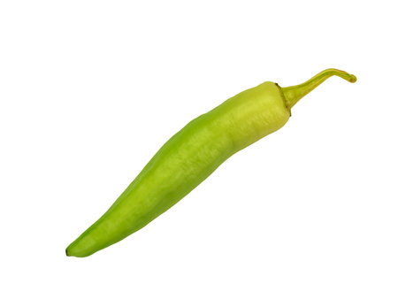 green pepper on a white backgroundの写真素材