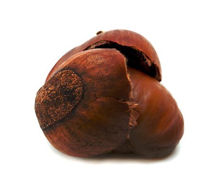 peeled roasted chestnut isolated on white backgroundの写真素材