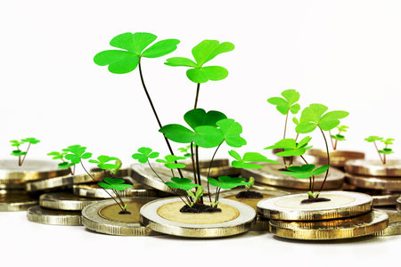 Lucky economic growth concept with piles of coins and treeの写真素材