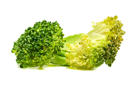 Fresh broccoli isolated on white backgroundの写真素材