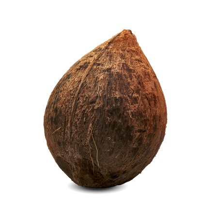 Coconut milk tropical fruit isolated on white backgroundの写真素材