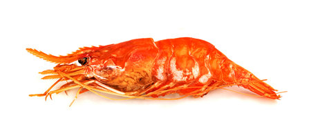 roasted river shrimp common isolated on white background ,grilled prawnの写真素材