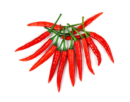 red chili pepper isolated on white backgroundの写真素材