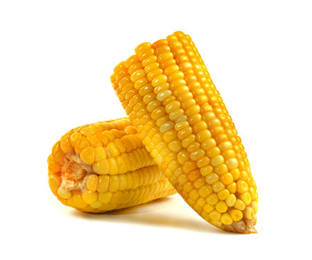sweet corn isolated on white backgroundの写真素材