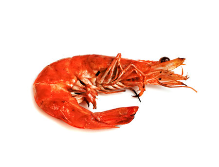 roasted prawn isolated on white background ,grilled shrimpの写真素材