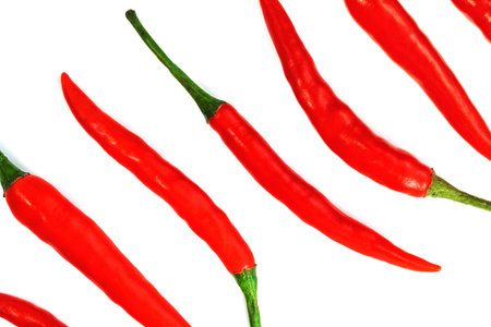 red chili pepper isolated on white backgroundの写真素材