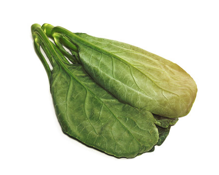 leaves of collards on background,Chinese kaleの写真素材