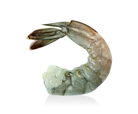 shrimp raw isolated on white background ,include clipping pathの写真素材