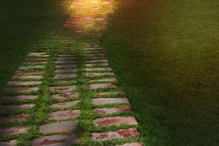 stone walkway and green grass in gardenの写真素材