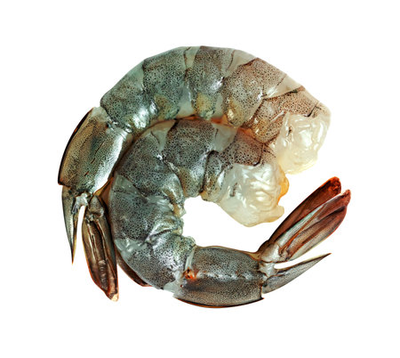 Peeled shrimp raw isolated on white background ,include clipping pathの写真素材