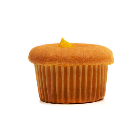 vanilla cup cake isolated on white backgroundの写真素材