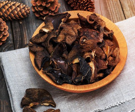 dry forest edible mushrooms, top viewの写真素材